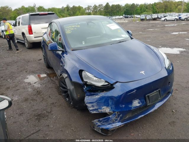 2024 TESLA MODEL Y 7SAYGDEF1RA265382