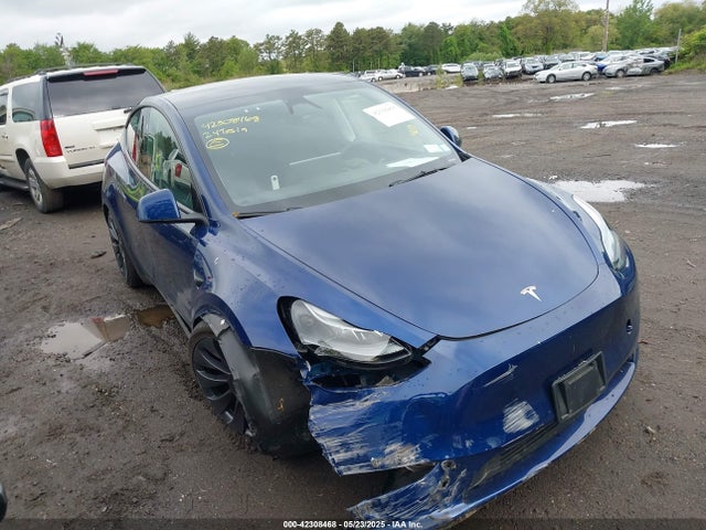7SAYGDEF1RA265382 Tesla 2024