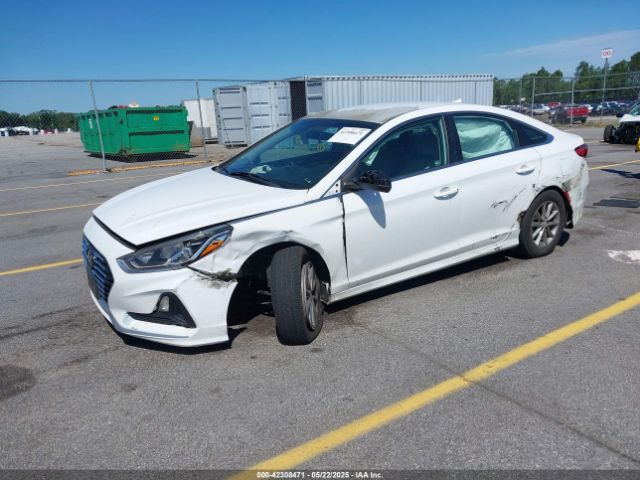 2018 HYUNDAI SONATA 5NPE24AF6JH667007 Photo 1