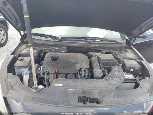 5NPE24AF7HH510239 Hyundai SONATA SE