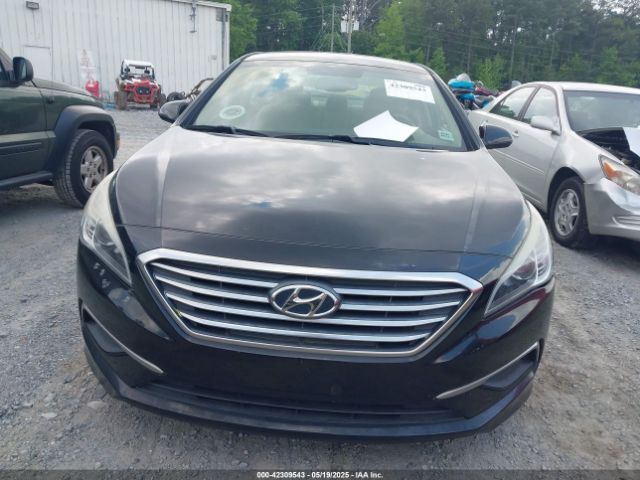 5NPE24AF7HH510239 Hyundai SONATA SE