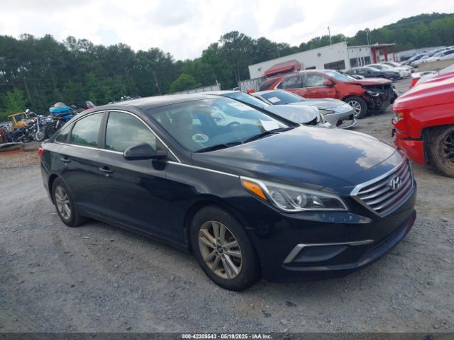 5NPE24AF7HH510239 Hyundai SONATA SE