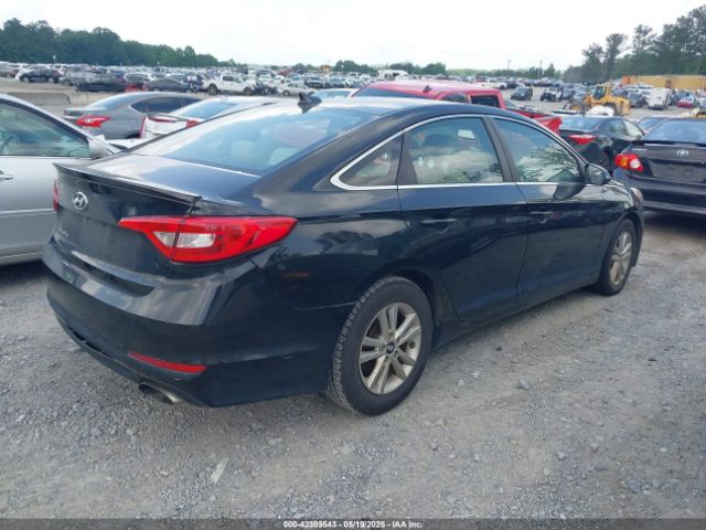 5NPE24AF7HH510239 Hyundai SONATA SE