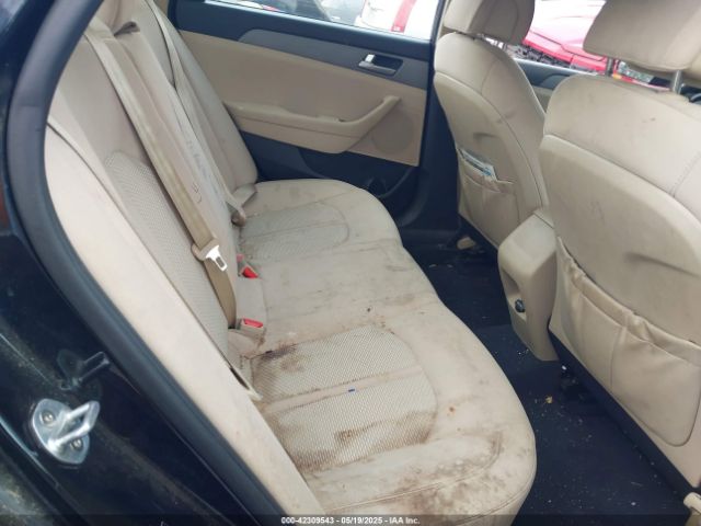5NPE24AF7HH510239 Hyundai SONATA SE