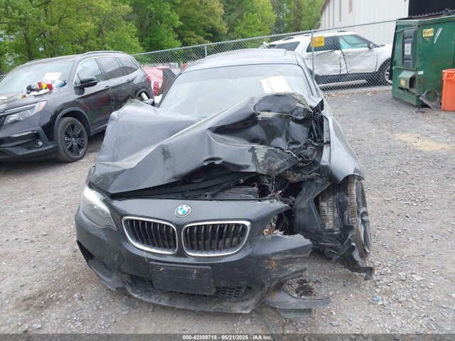 WBA1G9C52GV598422 BMW 228i Xdrive