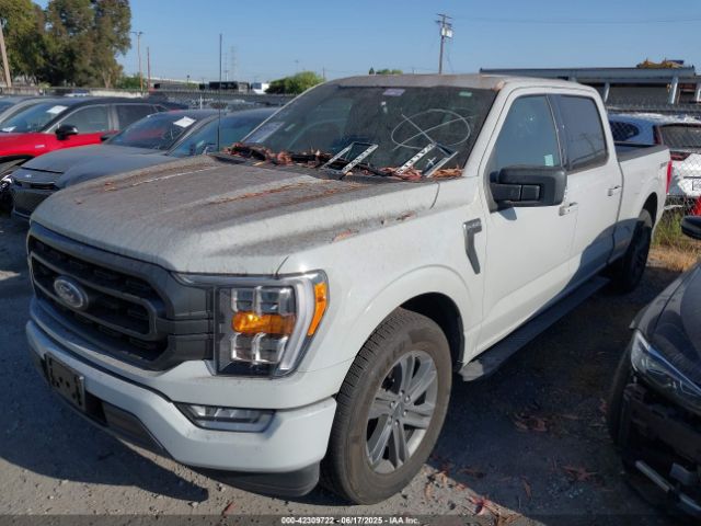 1FTEW1CP3PKF47099 Ford F-150 Xlt