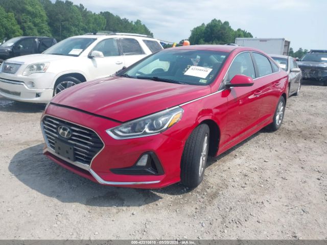 5NPE24AF5JH605047 Hyundai SONATA SE