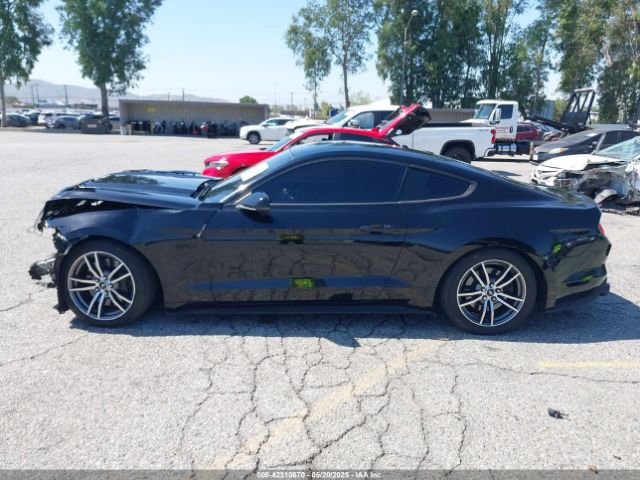 1FA6P8CF1G5202692 Ford Mustang Gt Premium