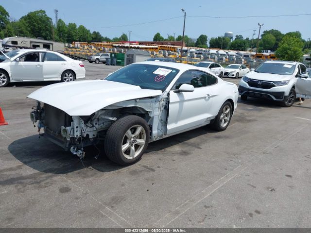2017 FORD MUSTANG 1FA6P8AM0H5270159 Photo 1
