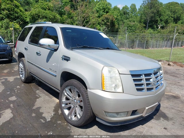 2010 CADILLAC ESCALADE 1GYUCCEF0AR155906 Photo 0