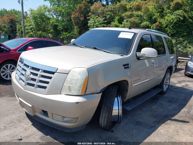 2010 CADILLAC ESCALADE 1GYUCCEF0AR155906 Photo 1