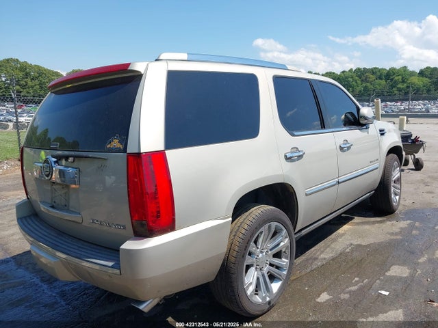2010 CADILLAC ESCALADE 1GYUCCEF0AR155906 Photo 3