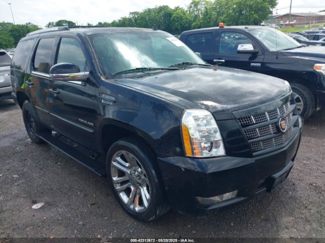 2013 CADILLAC ESCALADE 1GYS3CEF1DR346987 Photo 0