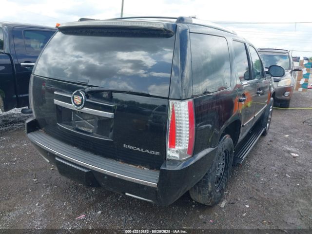 2013 CADILLAC ESCALADE 1GYS3CEF1DR346987 Photo 3