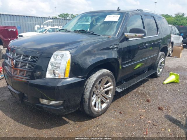 2013 CADILLAC ESCALADE 1GYS3CEF1DR346987 Photo 5