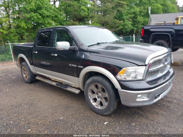 2009 DODGE RAM 1500 1D3HV13T69S799484