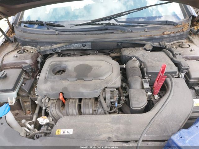 5NPE34AF0GH424329 Hyundai Sonata Sport