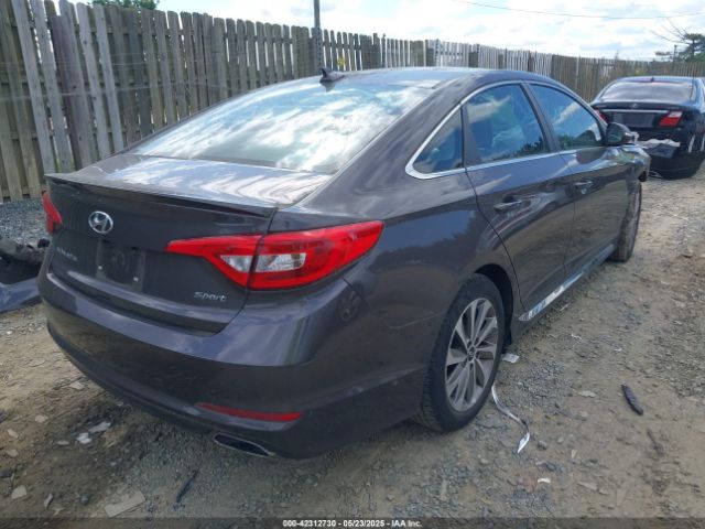 5NPE34AF0GH424329 Hyundai Sonata Sport