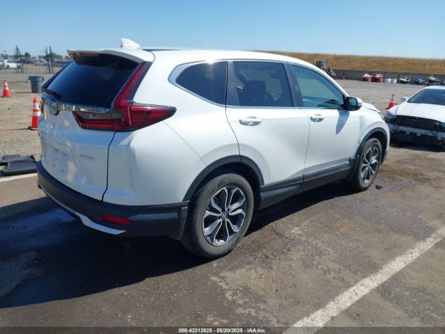 2022 HONDA CR-V 2HKRW2H56NH664881 Photo 3