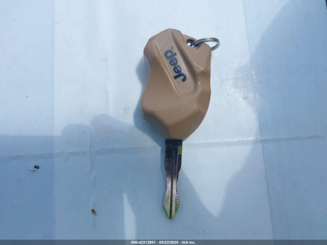2003 JEEP WRANGLER 1J4FA69S93P302102 Photo 10