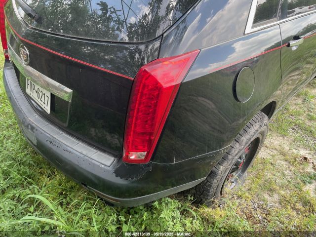2010 CADILLAC SRX 3GYFNGEY6AS517326 Photo 3