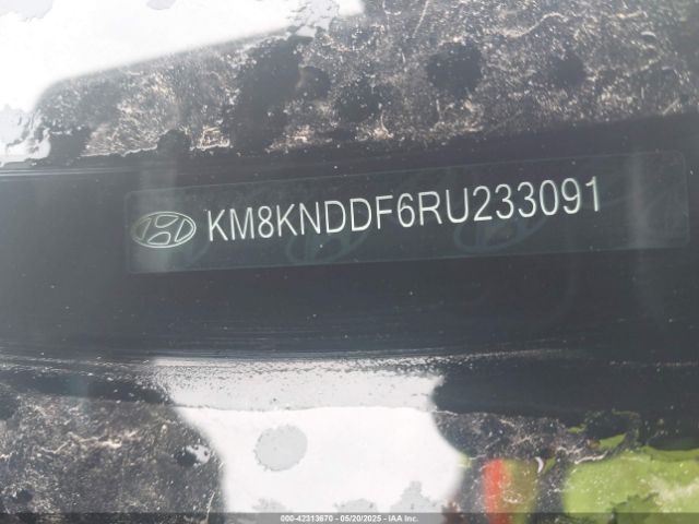 KM8KNDDF6RU233091 Hyundai Ioniq 5 Sel
