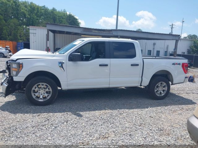 1FTFW1E81PFC47922 Ford F-150 Xlt