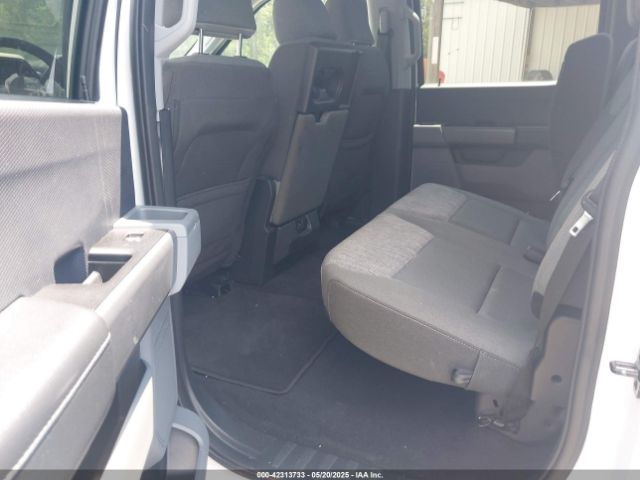 1FTFW1E81PFC47922 Ford F-150 Xlt