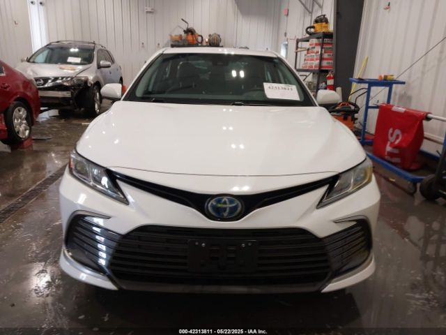 4T1C31AK1NU583166 Toyota Camry Le Hybrid