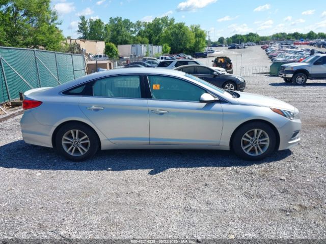 5NPE24AF8GH366487 Hyundai SONATA SE