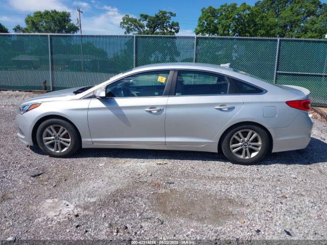 5NPE24AF8GH366487 Hyundai SONATA SE
