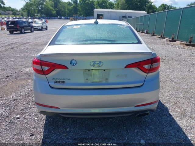 5NPE24AF8GH366487 Hyundai SONATA SE