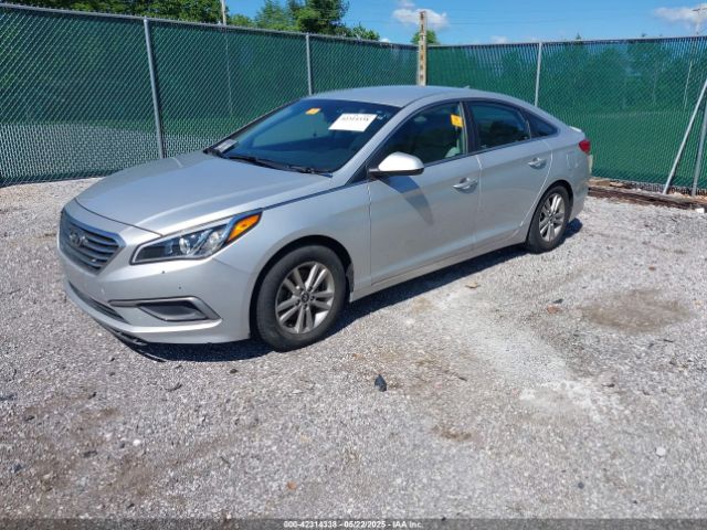 5NPE24AF8GH366487 Hyundai SONATA SE