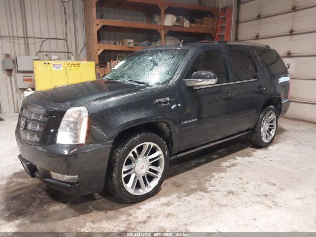 2013 CADILLAC ESCALADE 1GYS4CEFXDR209348 Photo 1