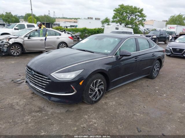 KMHL24JJ7PA059214 Hyundai Sonata Hybrid Blue