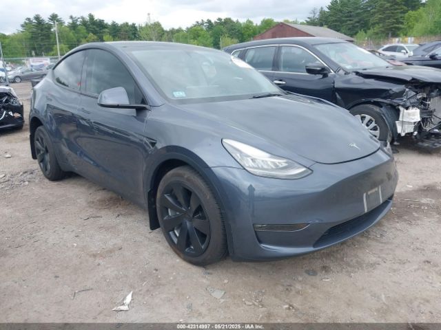 2023 TESLA MODEL Y 7SAYGDEE8PA023354