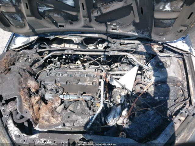 2002 ACURA RSX JH4DC53082C015699 Photo 9