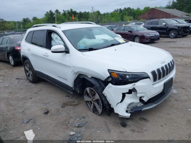 2019 JEEP CHEROKEE 1C4PJMDN1KD251257