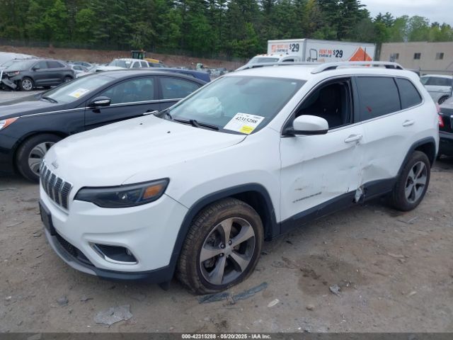 2019 JEEP CHEROKEE 1C4PJMDN1KD251257 Photo 1