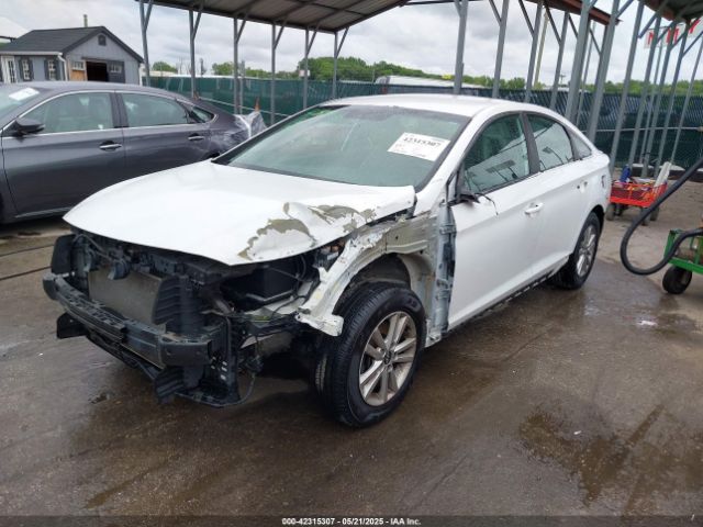 5NPE24AF3HH519181 Hyundai Sonata