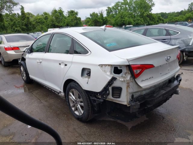 5NPE24AF3HH519181 Hyundai Sonata
