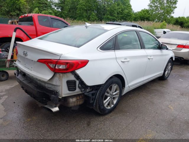 5NPE24AF3HH519181 Hyundai Sonata
