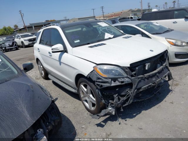 4JGDA5GB6FA540521 auction archive image