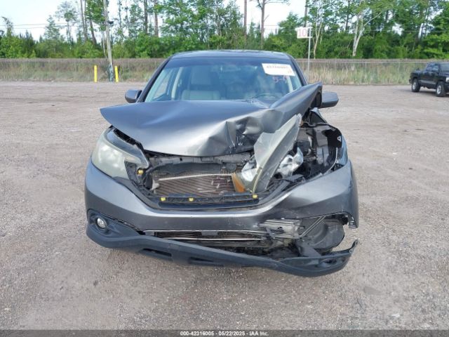 5J6RM3H55EL019494 Honda CR-V EX