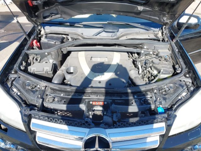 2010 MERCEDES-BENZ GL 450 4JGBF7BEXAA537636 Photo 9