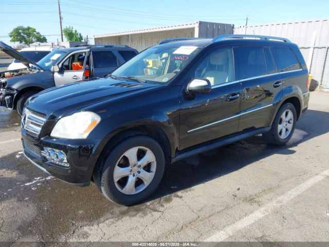 2010 MERCEDES-BENZ GL 450 4JGBF7BEXAA537636 Photo 1