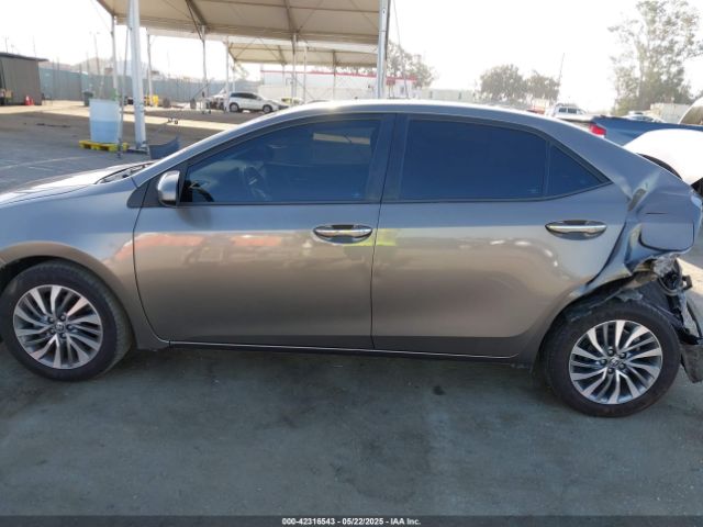 5YFBURHE1JP815493 Toyota Corolla Xle