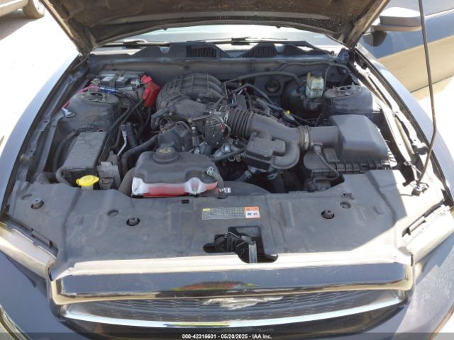 2014 FORD MUSTANG 1ZVBP8AM7E5327555 Photo 9