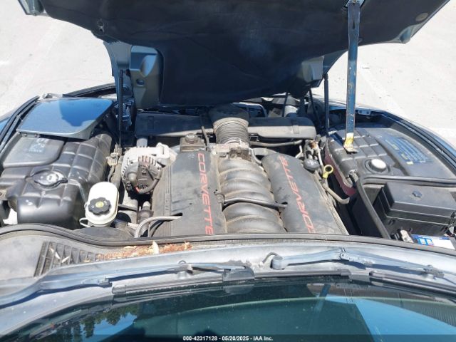 2004 CHEVROLET CORVETTE 1G1YY22G845122981 Photo 9