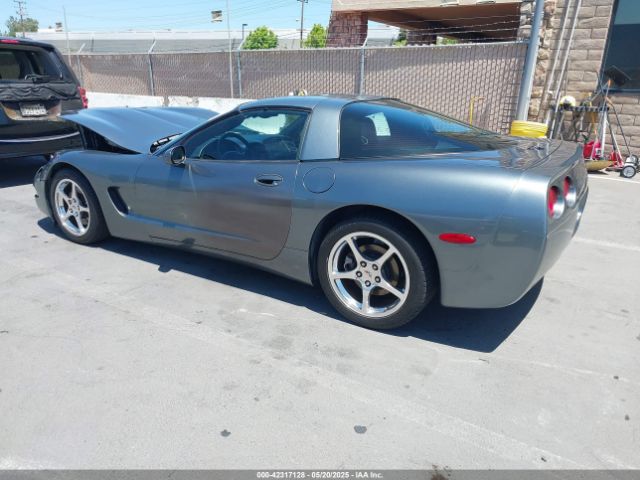 2004 CHEVROLET CORVETTE 1G1YY22G845122981 Photo 2